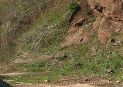 Boundary dispute – Property Development – UK