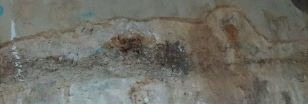 Leaking basement – Victorian House Extension – UK