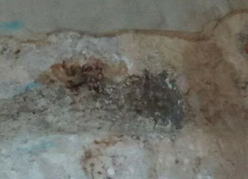 Leaking basement – Victorian House Extension – UK